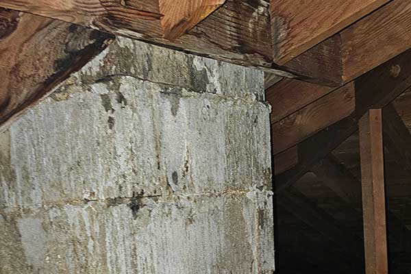 Crawlspace Moisture Intrusion Assessment Services Crawlspace Moisture Intrusion Assessment Services