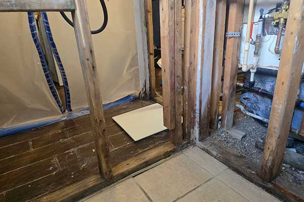 Moisture Intrusion Assessment Services Moisture Intrusion Assessment Services