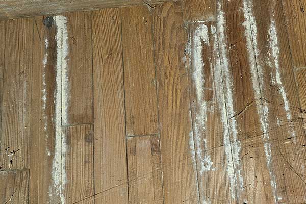 Residential Mold Inspection Services Residential Mold Inspection Services