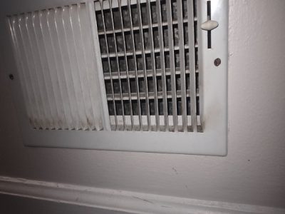 Home Mold Testing