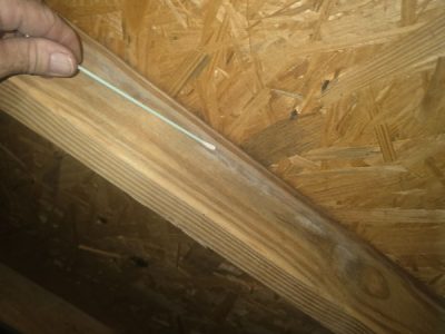 Residential Mold Inspection