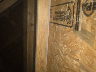 Residential Mold Inspection Solutions