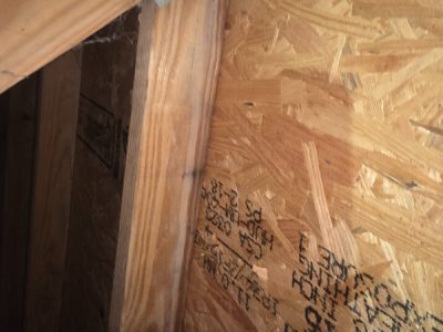 Residential Wood Mold Inspection