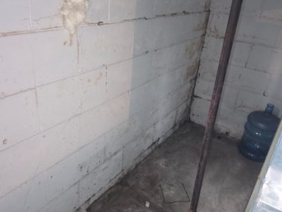Wall Mold Inspection