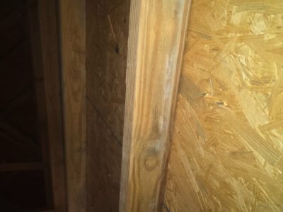 Wood Mold Inspection